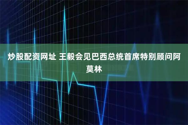炒股配资网址 王毅会见巴西总统首席特别顾问阿莫林