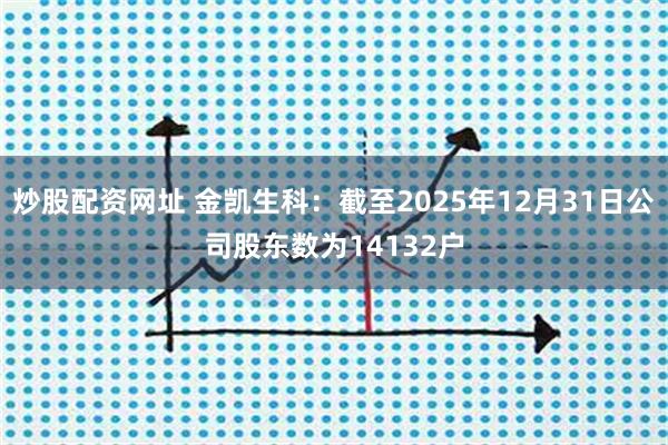 炒股配资网址 金凯生科：截至2025年12月31日公司股东数为14132户